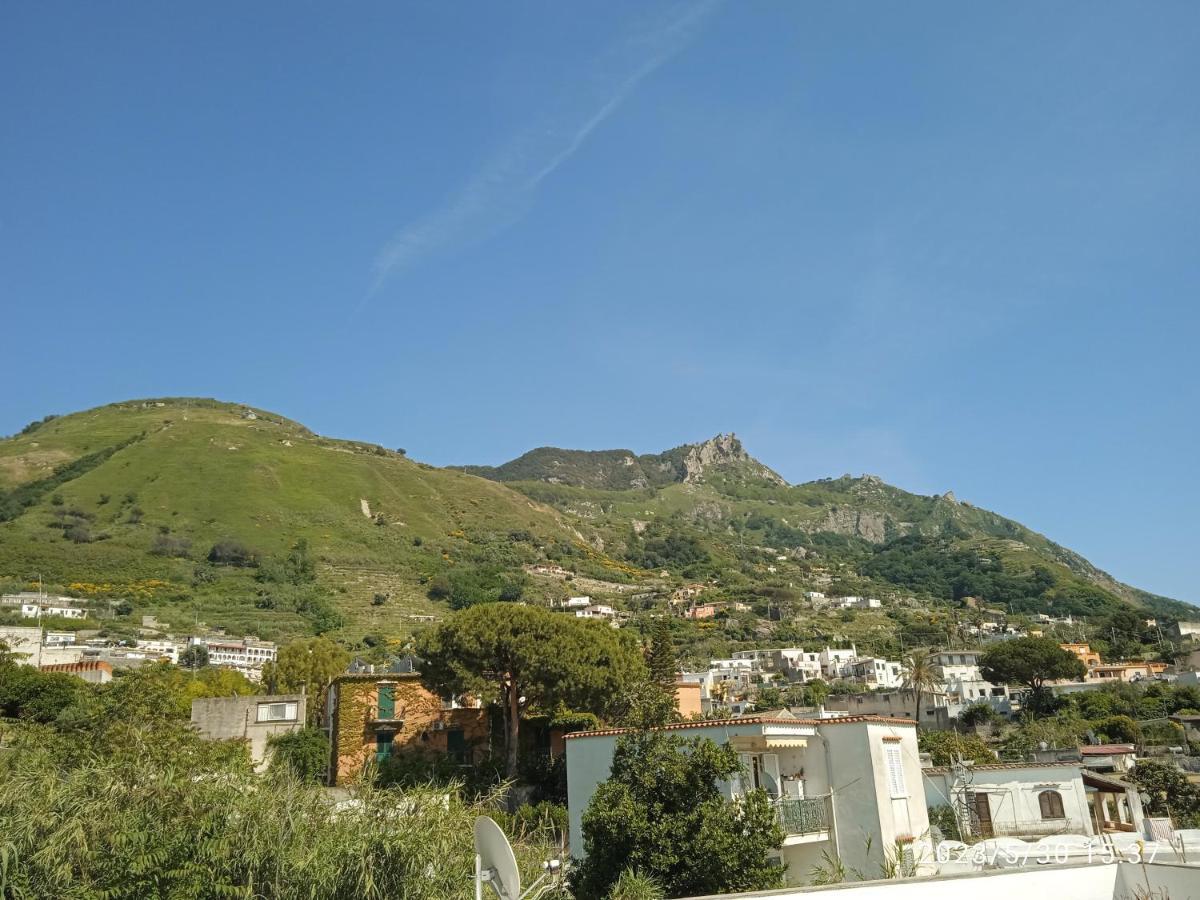 Villa Thomas Bb Conduzione Familiare Forio di Ischia Екстериор снимка