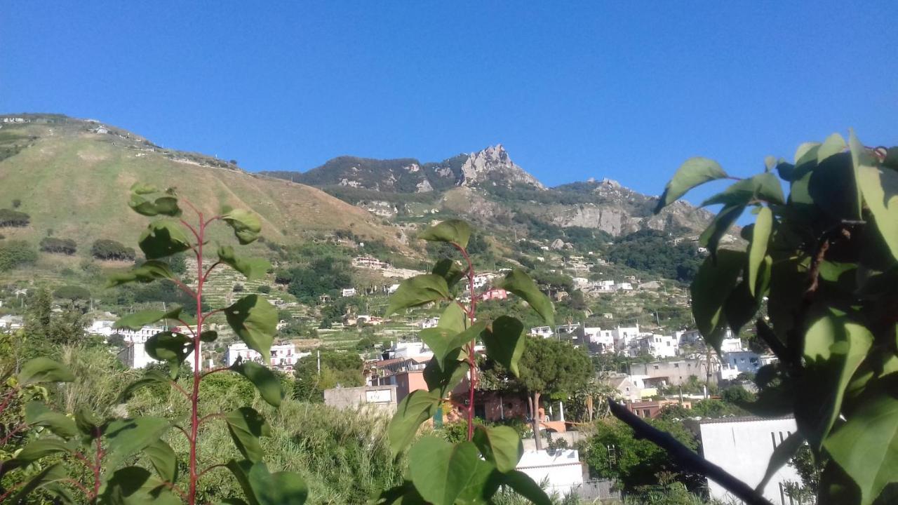 Villa Thomas Bb Conduzione Familiare Forio di Ischia Екстериор снимка