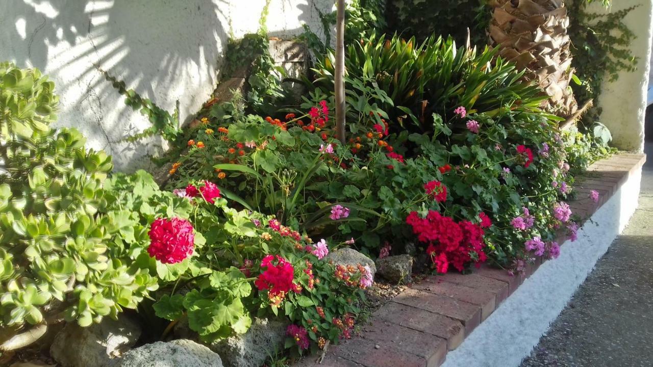 Villa Thomas Bb Conduzione Familiare Forio di Ischia Екстериор снимка